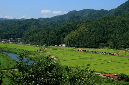 田園風景