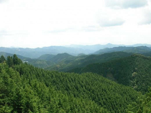 茶臼山高原道路