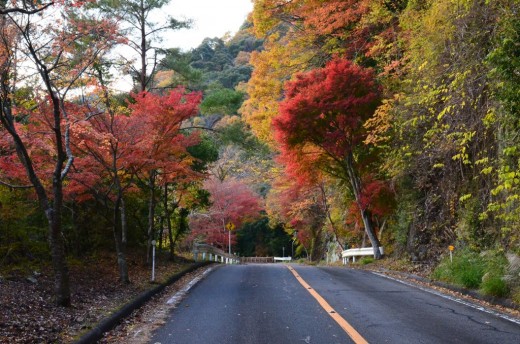 鳳来寺山パークウェイ